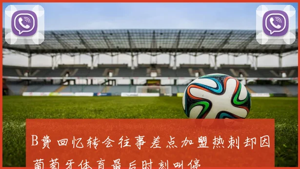 B费回忆转会往事差点加盟热刺却因葡萄牙体育最后时刻叫停