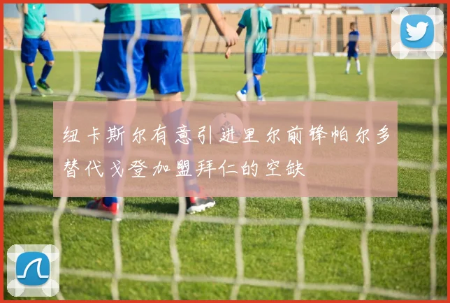 纽卡斯尔有意引进里尔前锋帕尔多替代戈登加盟拜仁的空缺